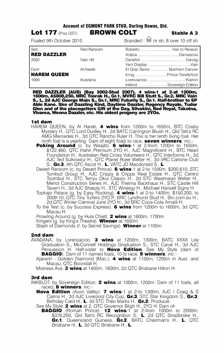 Red Dazzler (AUS) / Harem Queen (AUS) - pedigree