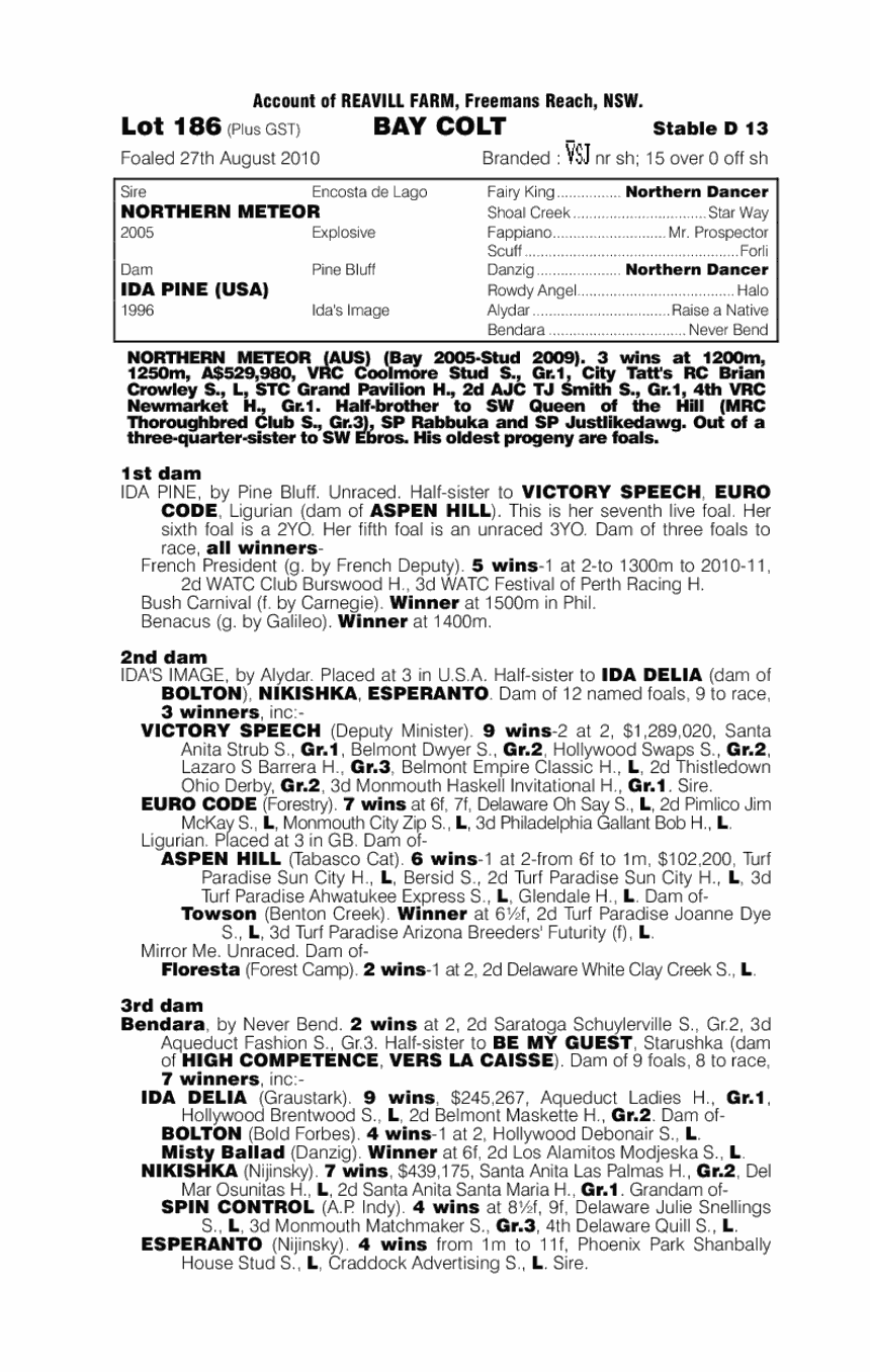 Bustabloodvessel (AUS) - pedigree