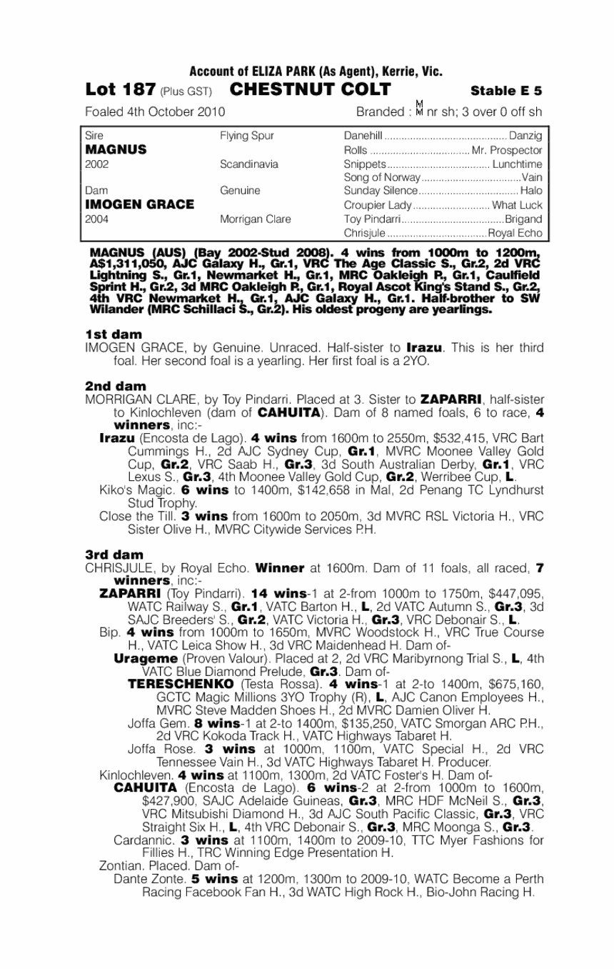 Magnum Pe I - pedigree