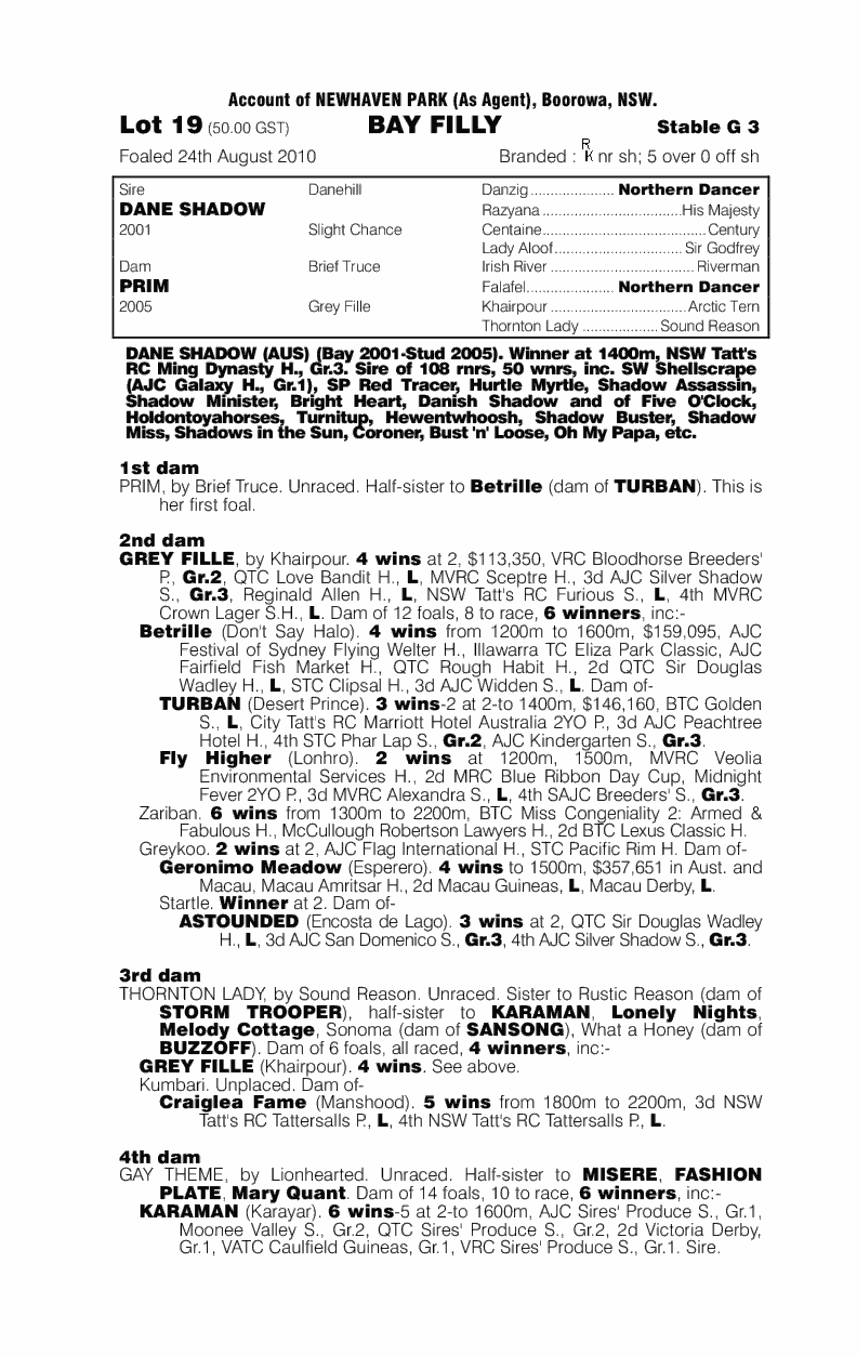 Buttons (AUS) - pedigree