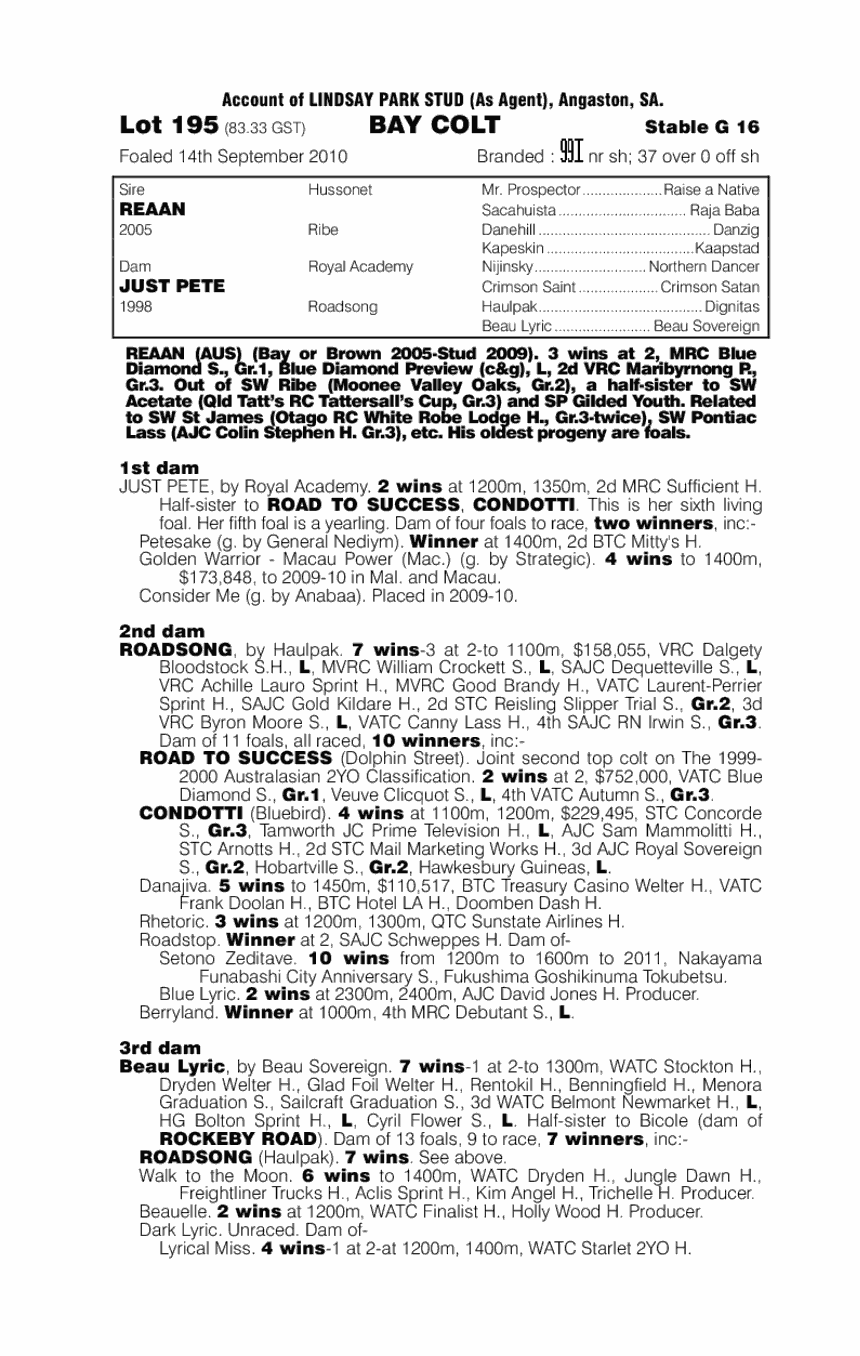 King Rian (AUS) - pedigree