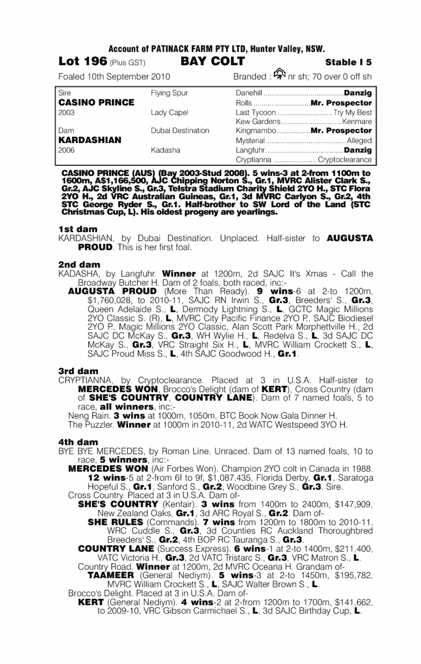 So Cheeky - pedigree