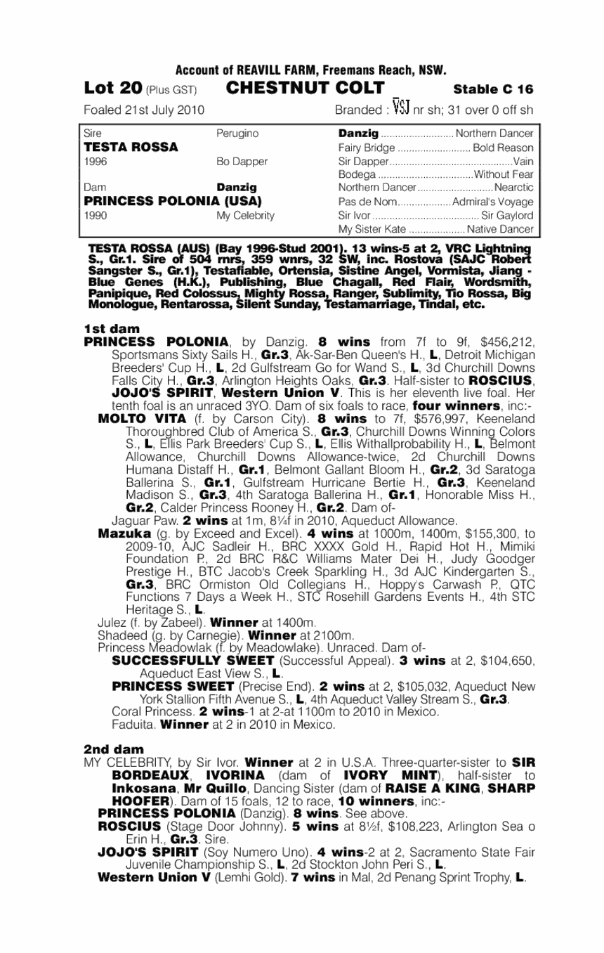 Testa My Polish (AUS) - pedigree