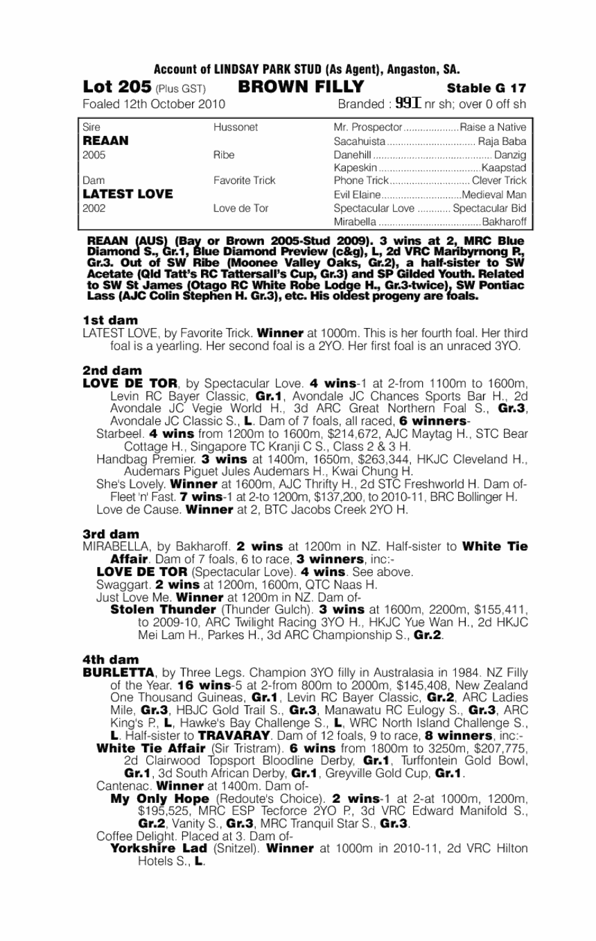 Tuff Tilly - pedigree