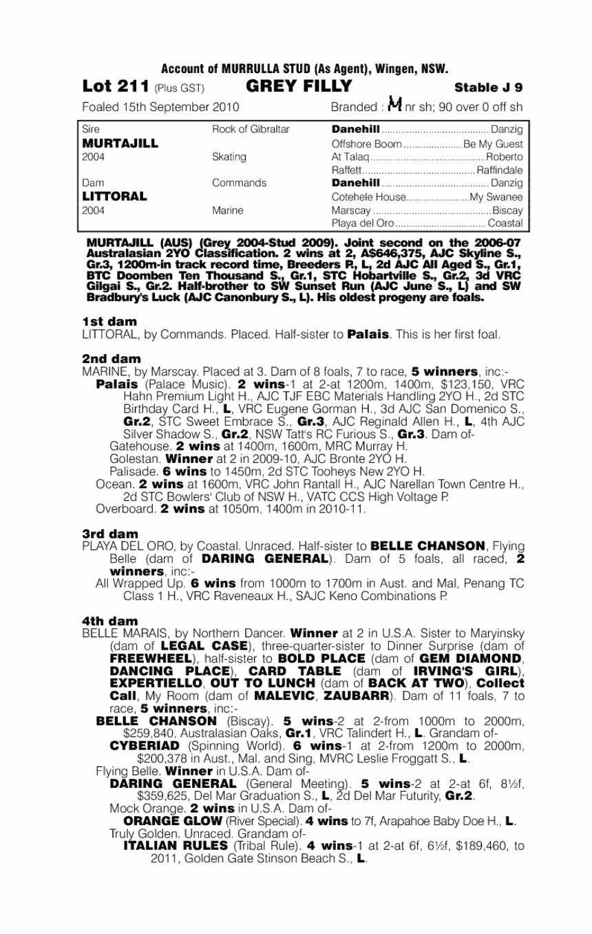 Jack's Jill - pedigree