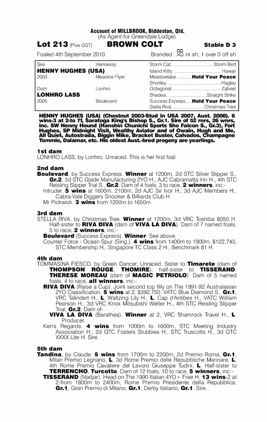 In Like Flynn - pedigree