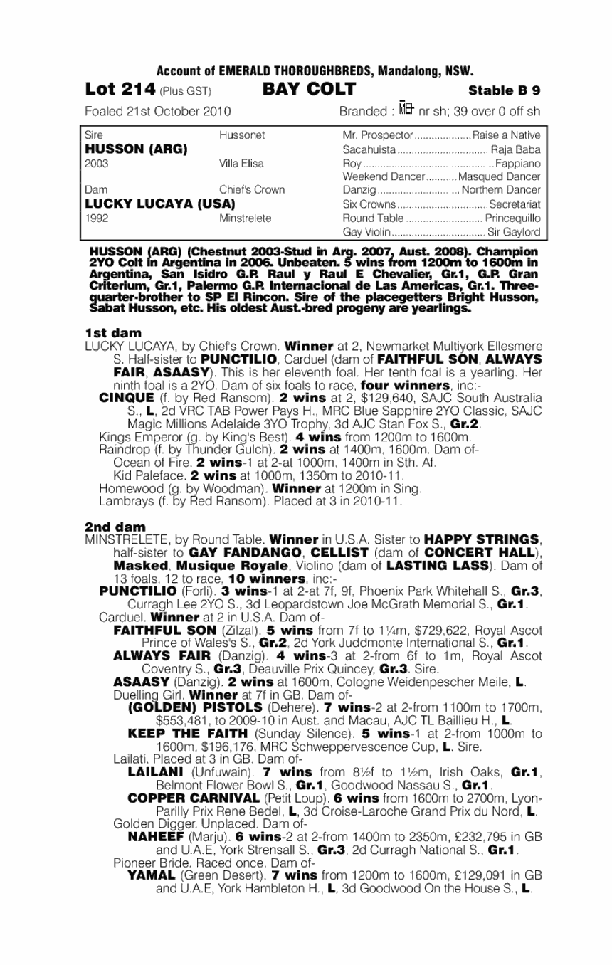 Small Tiger - pedigree