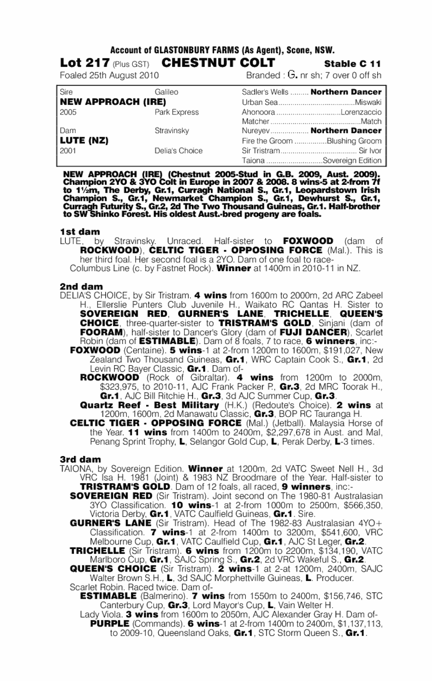 New Approach (IRE) / Lute (NZ) - pedigree