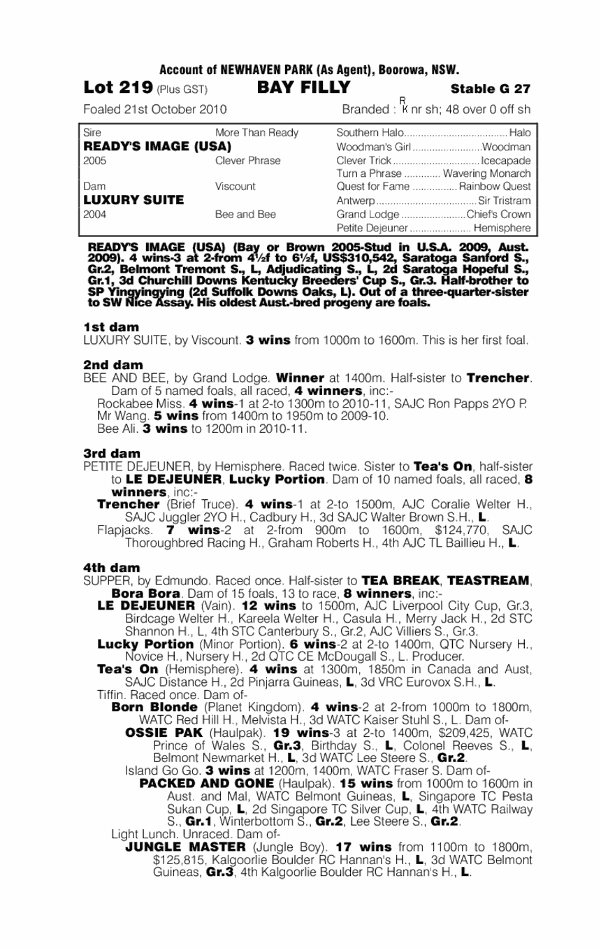 Ready's Image (USA) / Luxury Suite (AUS) - pedigree