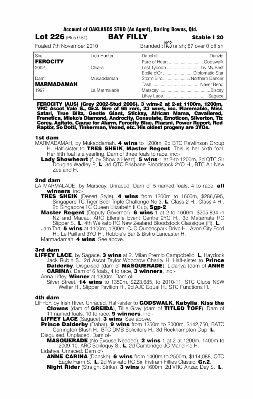 Dr Lewicki - pedigree