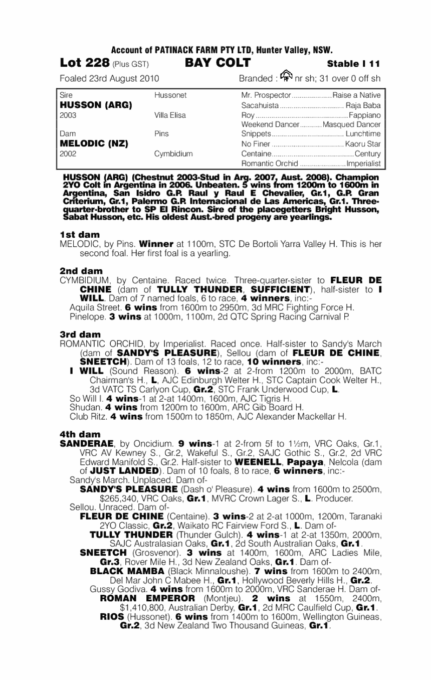 Man of Melody (AUS) - pedigree