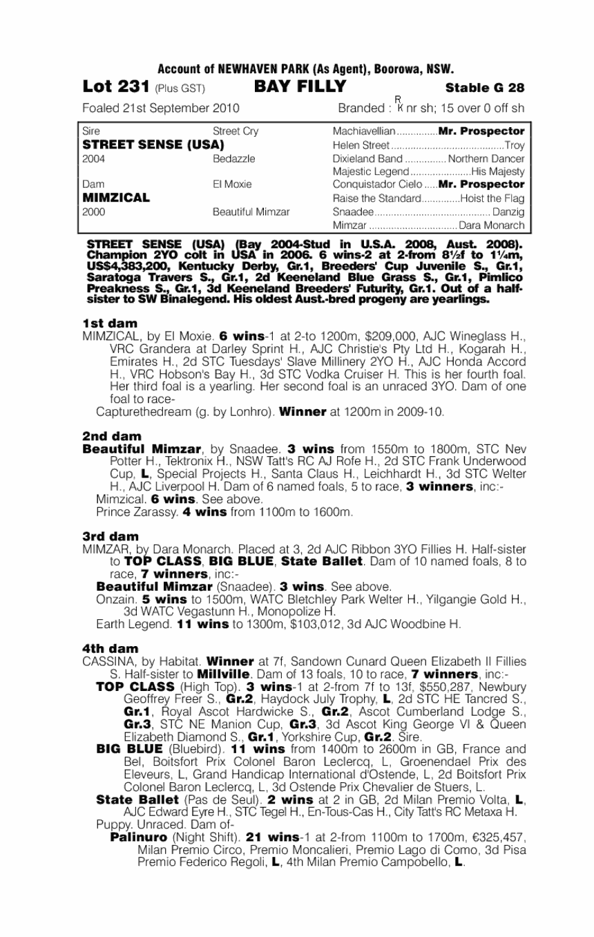 Champagne Cath (AUS) - pedigree