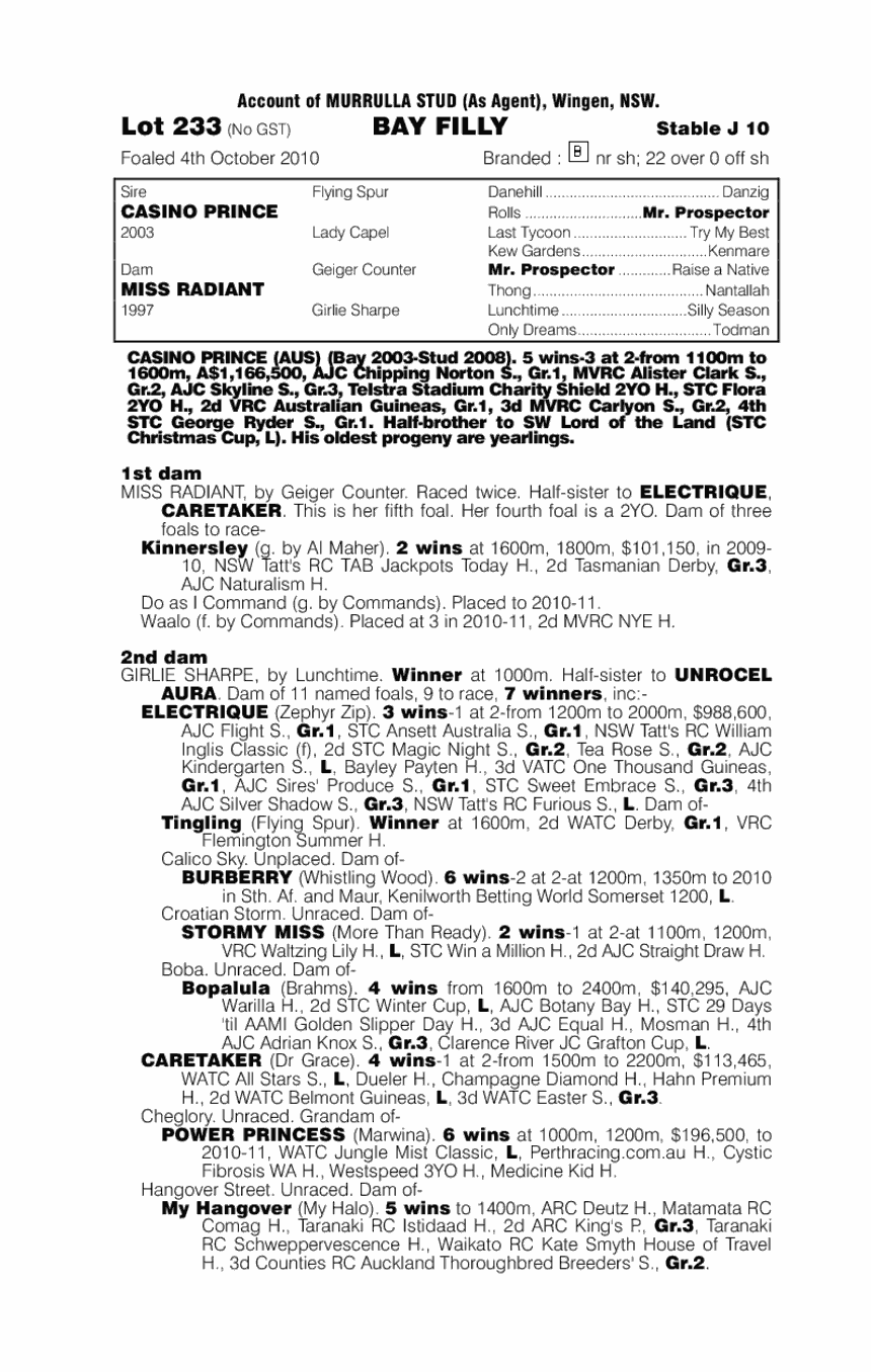 Casino Prince (AUS) / Miss Radiant (AUS) - pedigree
