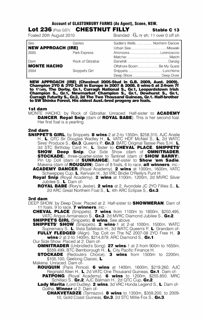 Priano (AUS) - pedigree
