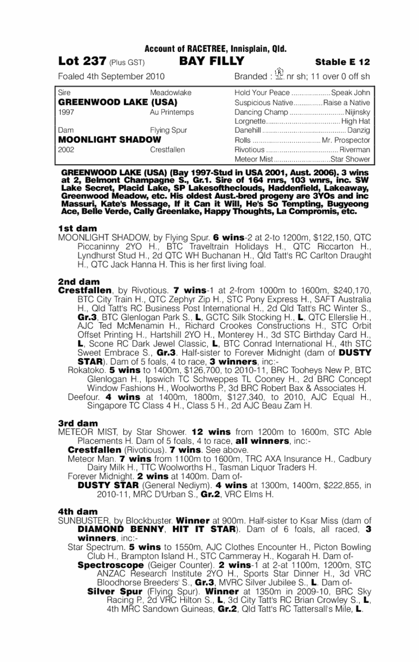 Mojo Moon - pedigree