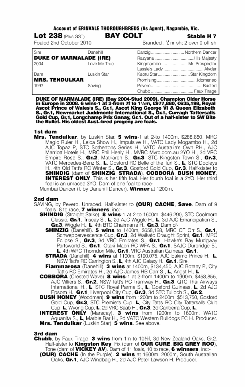 Magic Man - pedigree