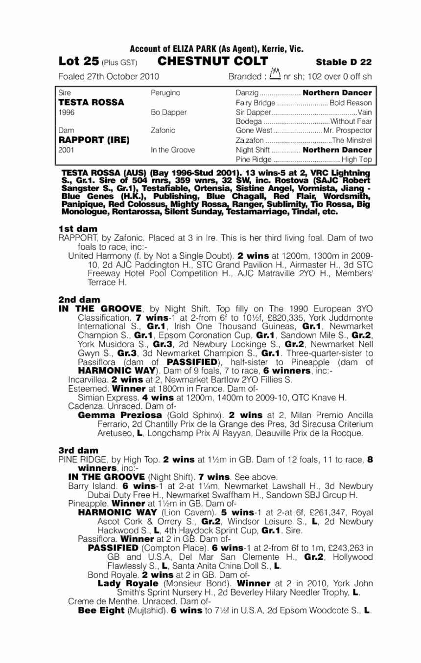 Testa Rossa (AUS) / Rapport (IRE) - pedigree