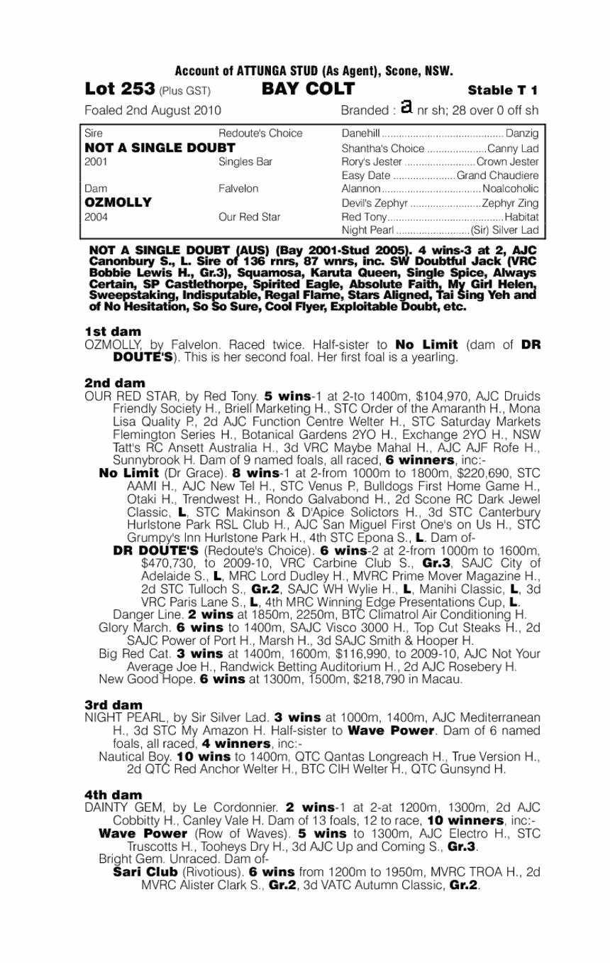 Not A Single Doubt (AUS) / Ozmolly (AUS) - pedigree