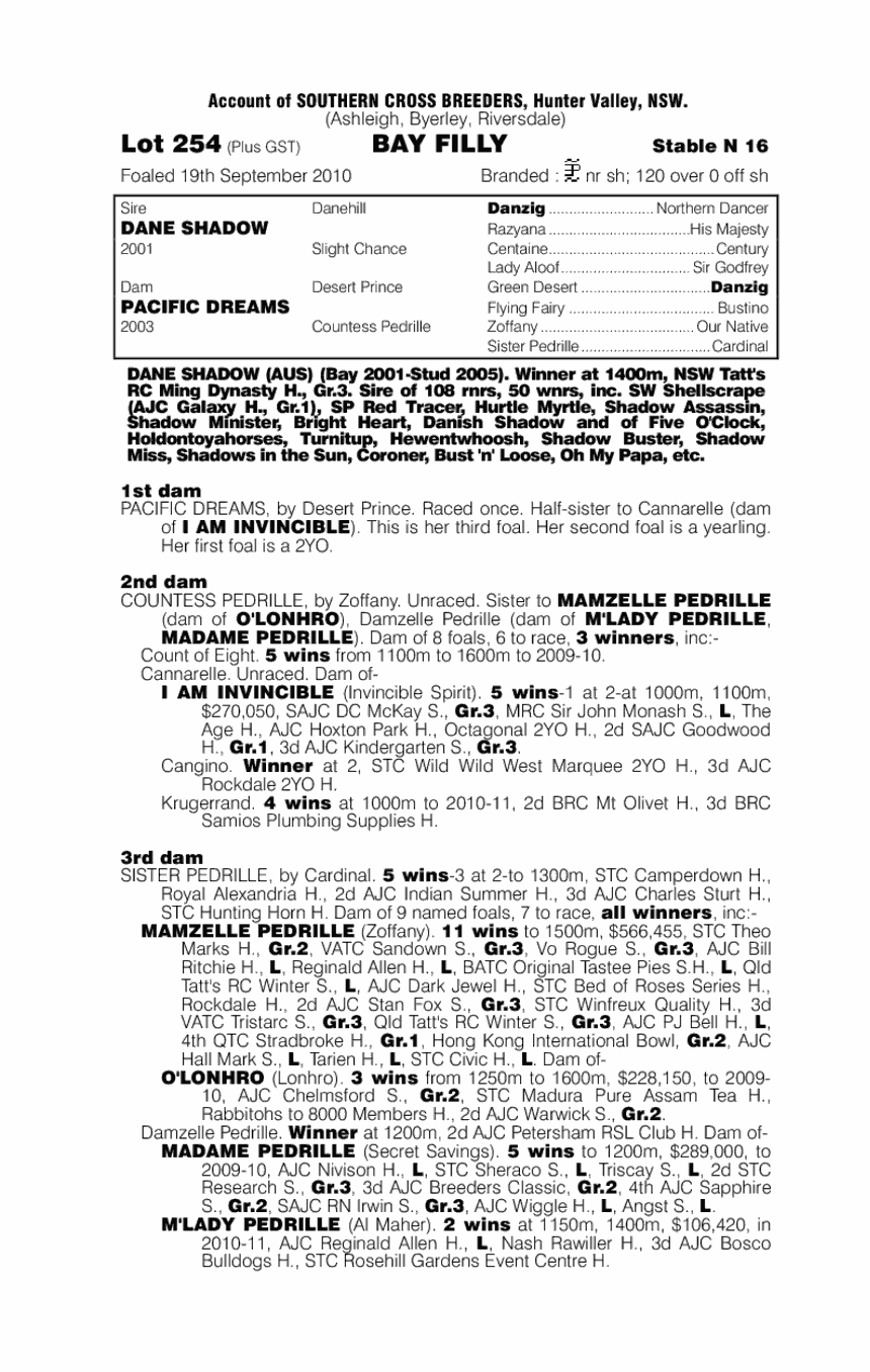 She's A Mod - pedigree