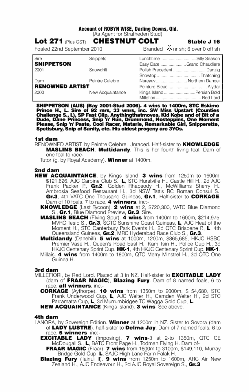 Spicy Dragon (AUS) - pedigree