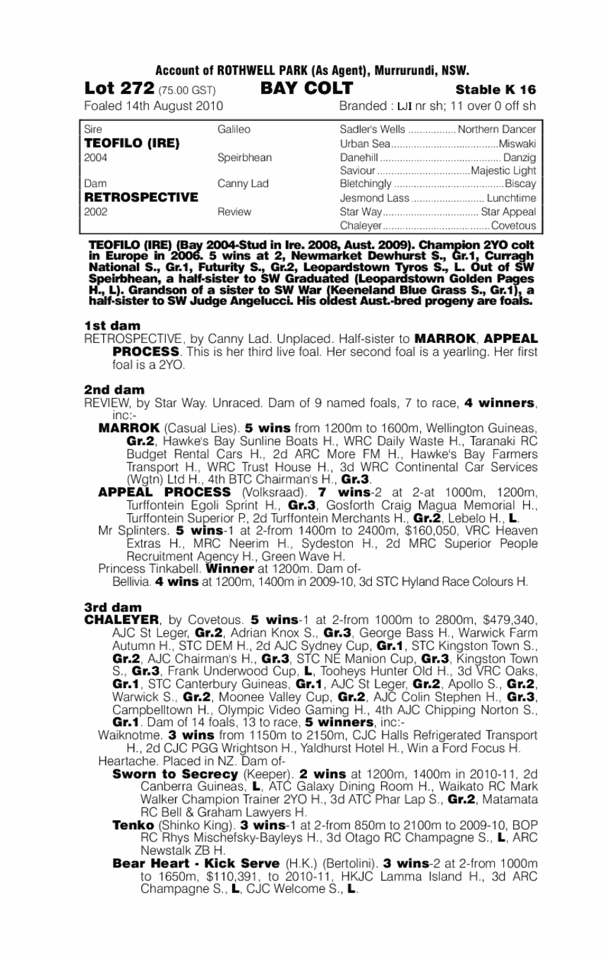 Rock Stallone - pedigree