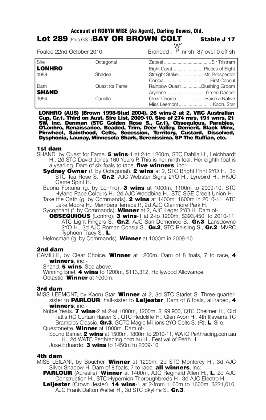 Royal Occasion - pedigree