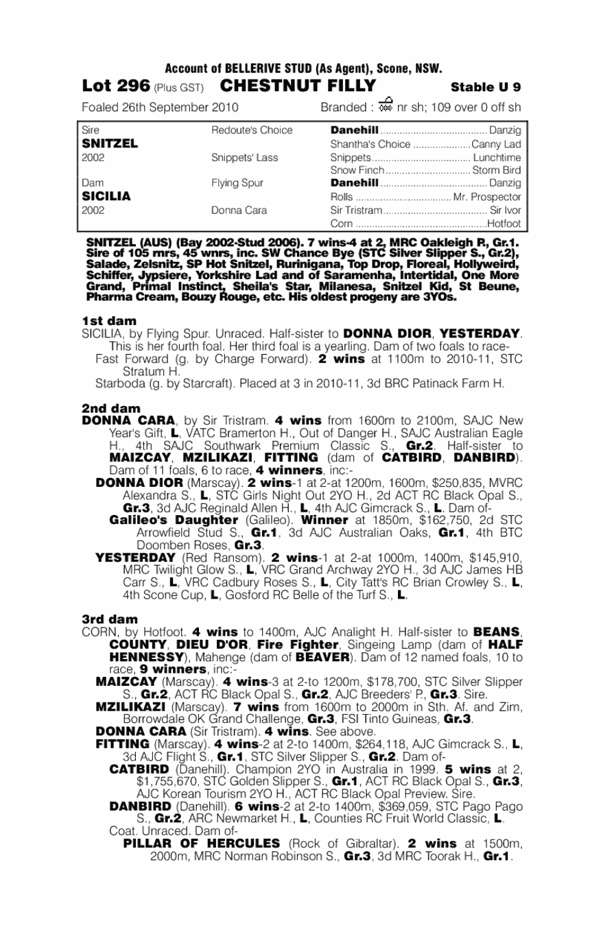 Choice Snitzel (AUS) - pedigree