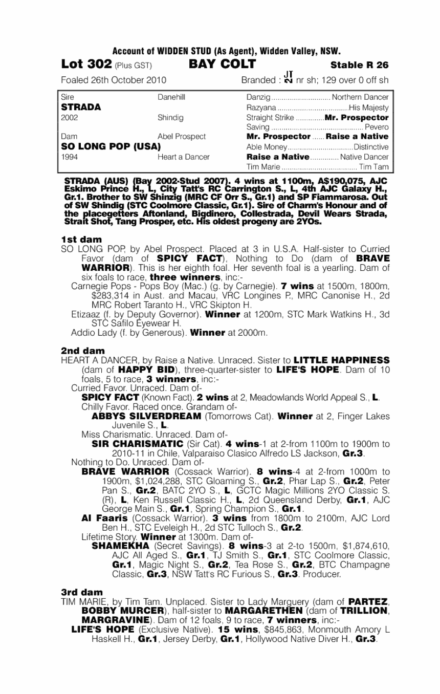 Strada (AUS) / So Long Pop (USA) - pedigree