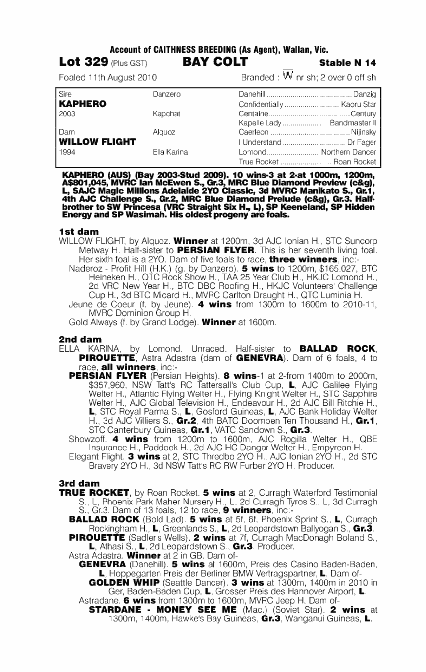 Atomic Hero - pedigree