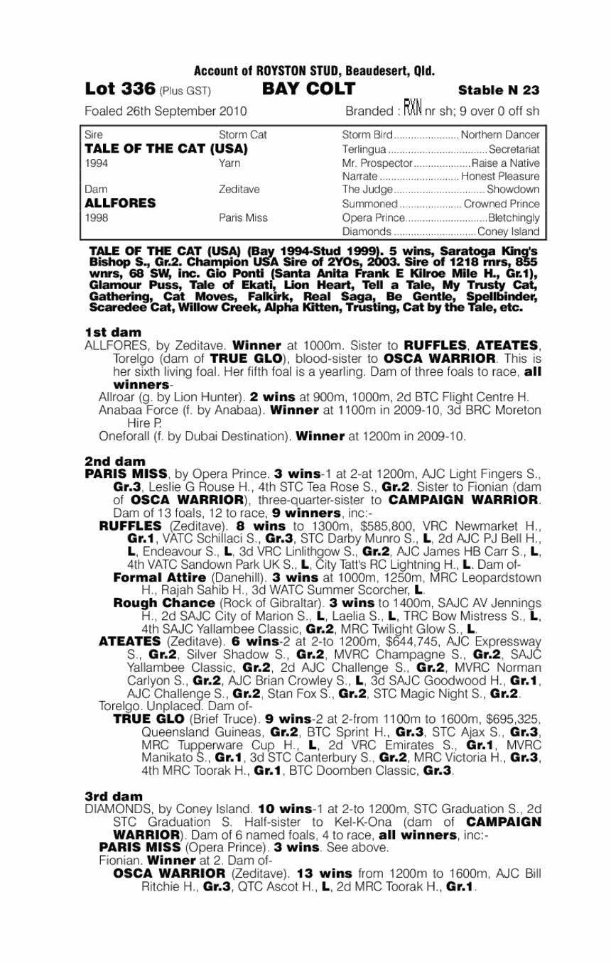 Palmera Lad - pedigree