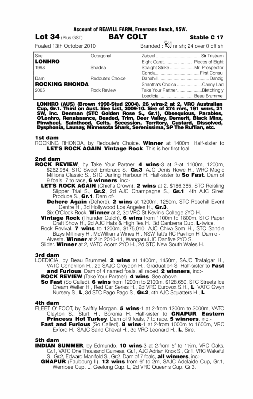 Lonhie Rocks - pedigree