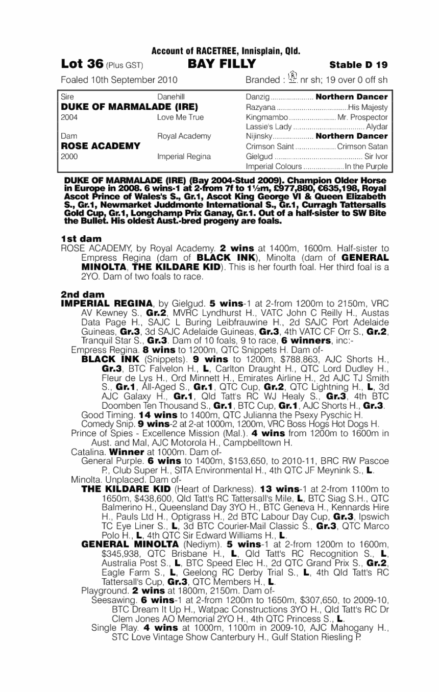 Duchess Rose - pedigree