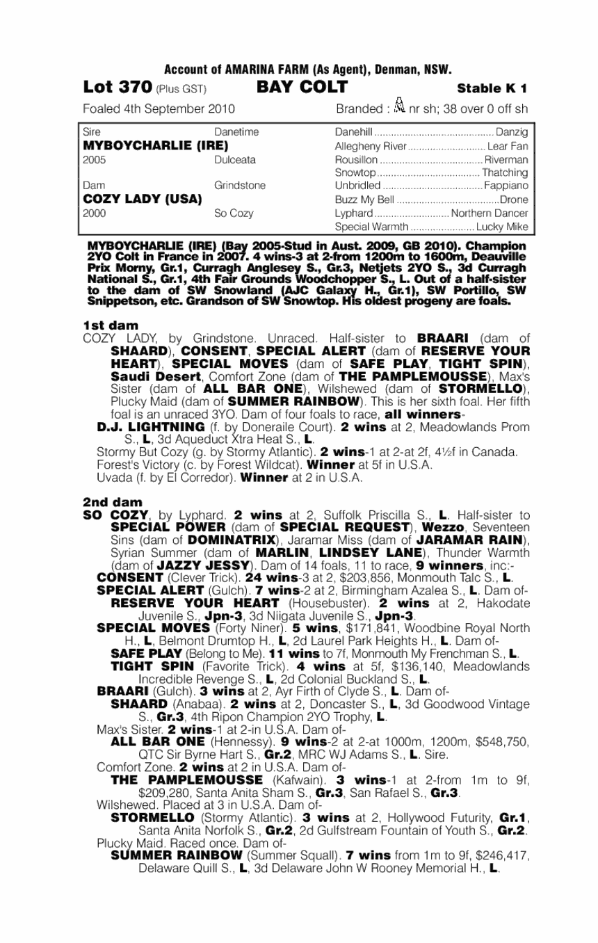 Myboycharlie (IRE) / Cozy Lady (USA) - pedigree