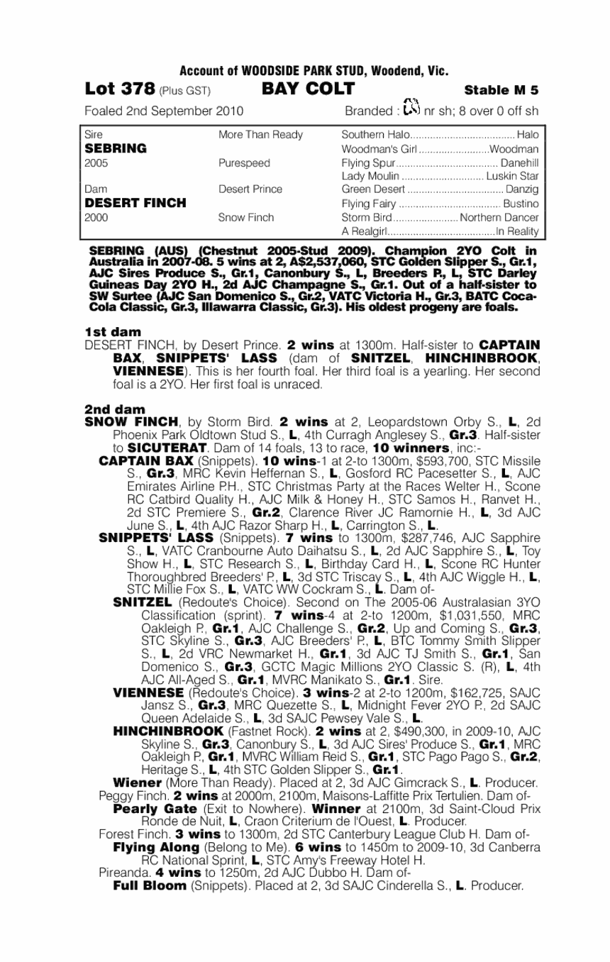 Losail (AUS) - pedigree