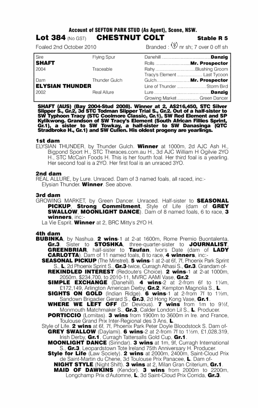 Stiff Thunder - pedigree