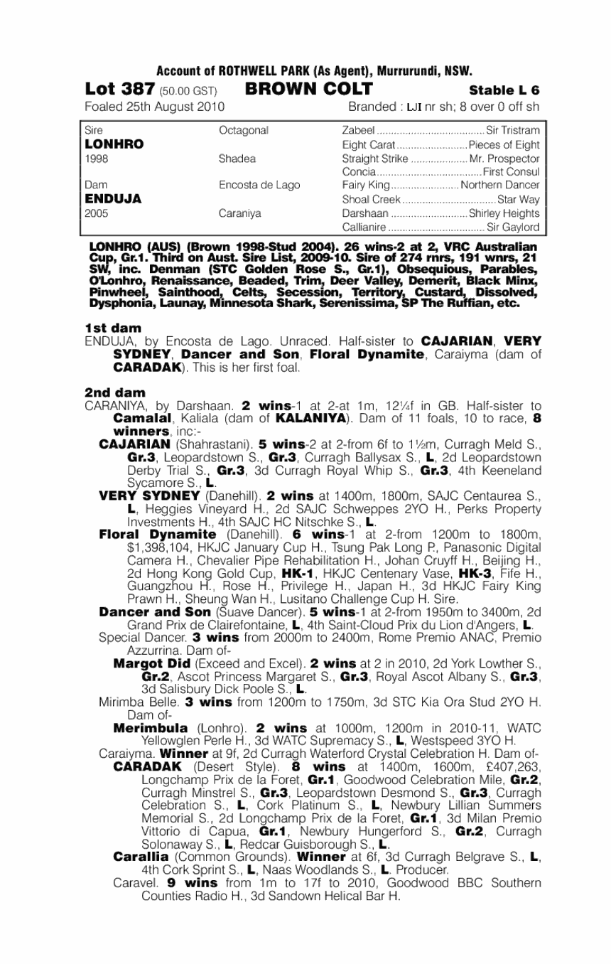 Australian Venture - pedigree