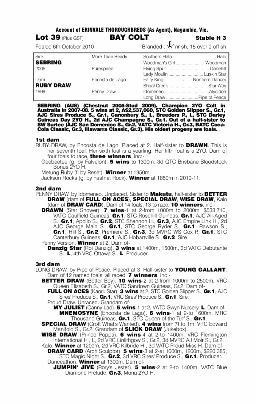 Mandalong Bring - pedigree