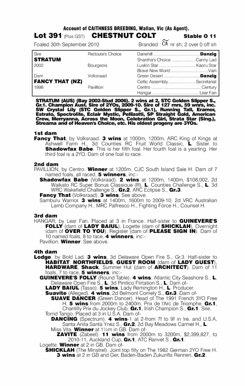 Stratum (AUS) / Fancy That (NZ) - pedigree