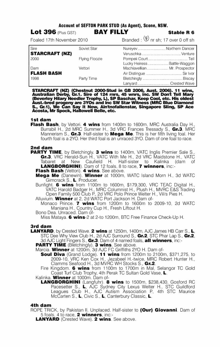 Eight Beat Kick - pedigree