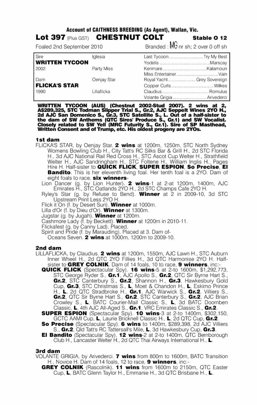Shogun Star (AUS) - pedigree
