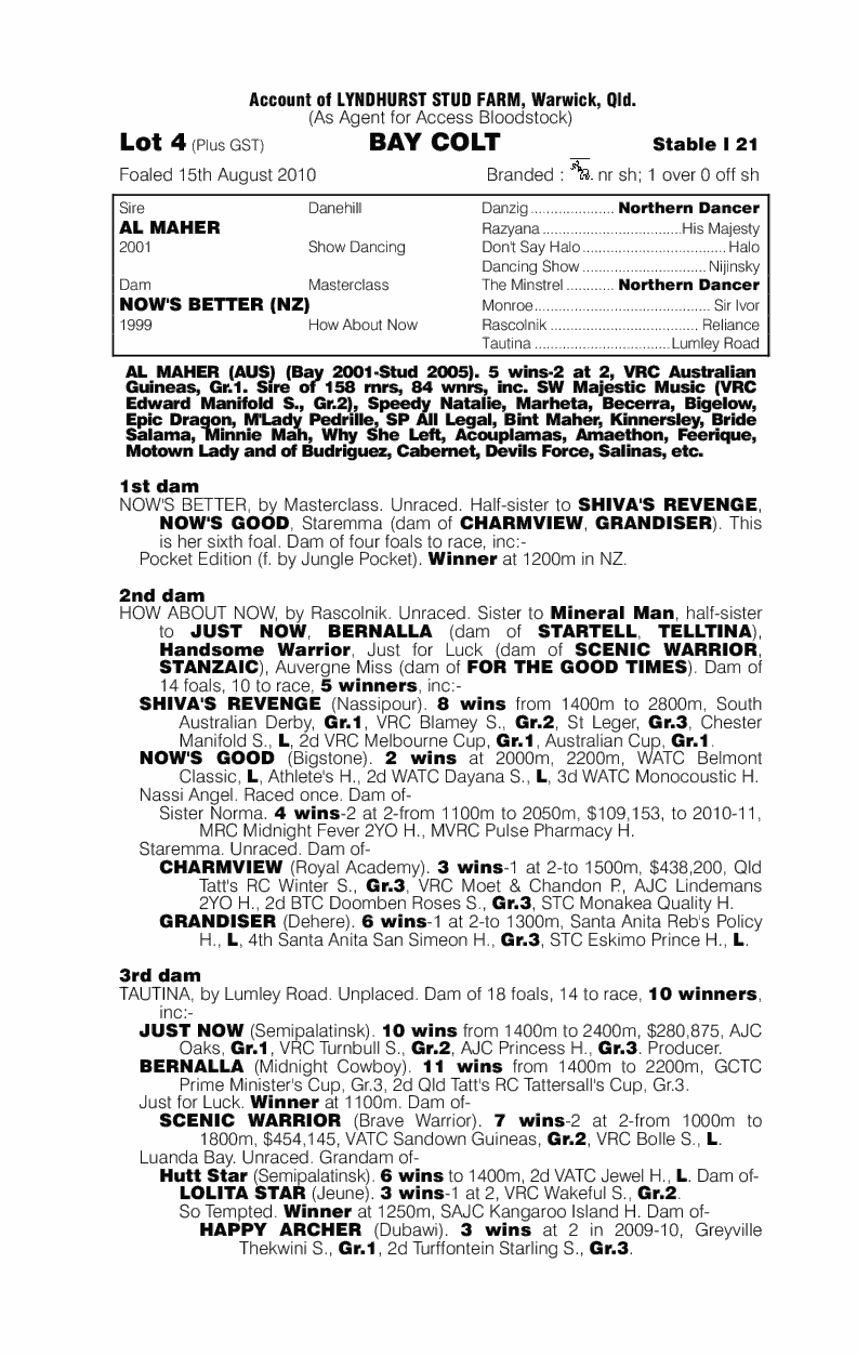 You Better Not - pedigree