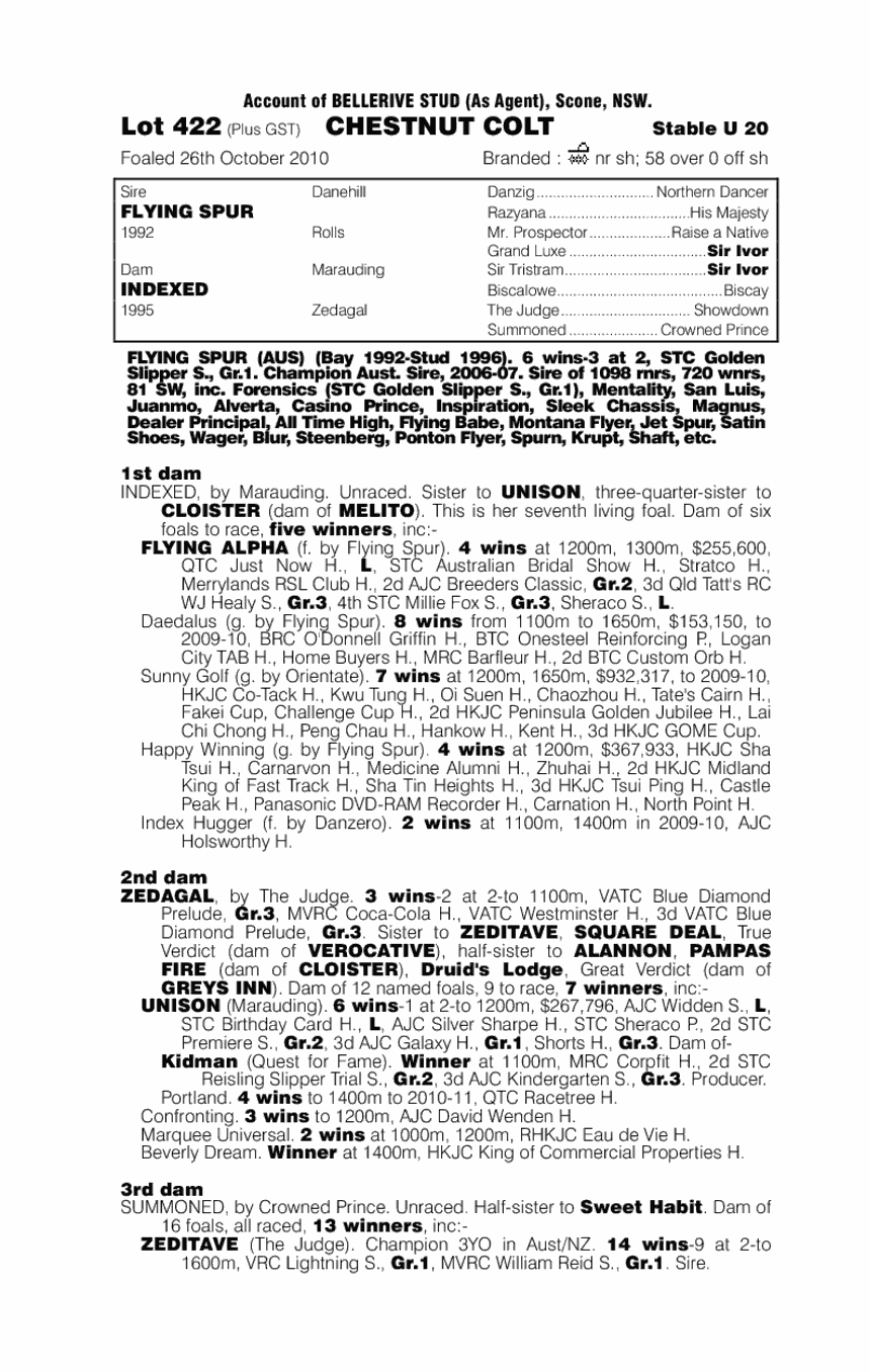 Flying Mamuza - pedigree