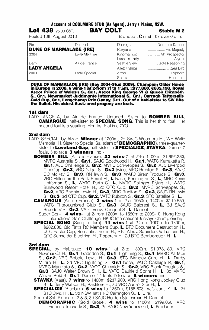 Put Up Your Dukes - pedigree