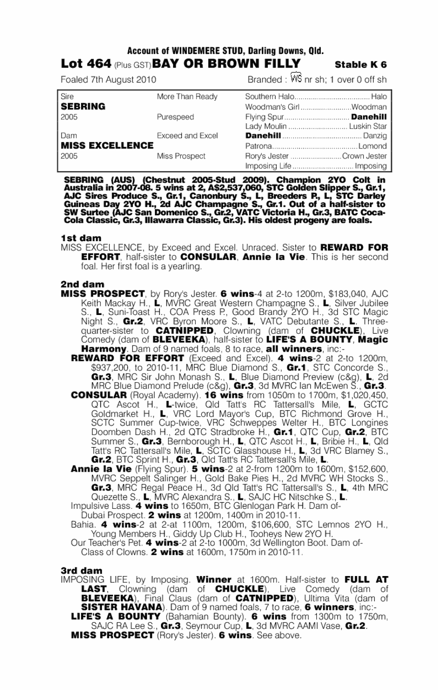 Miss Shebring - pedigree