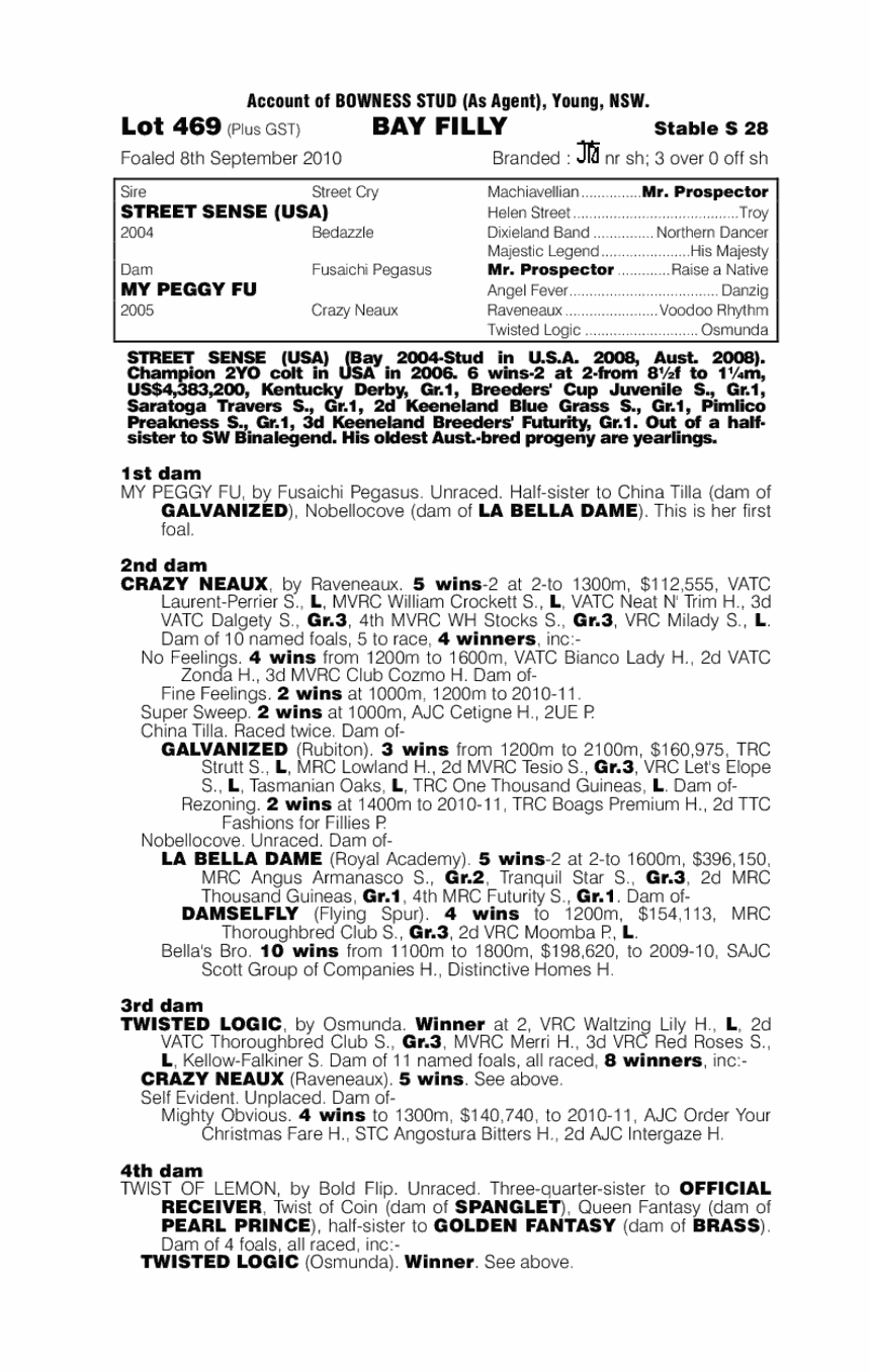 Street Rose - pedigree