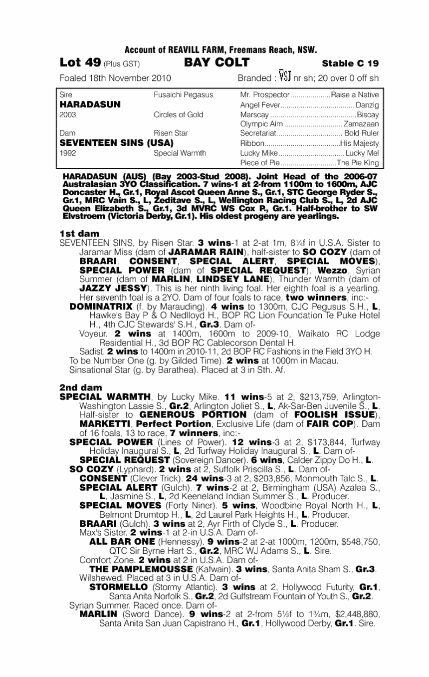 Haradasun (AUS) / Seventeen Sins (USA) - pedigree