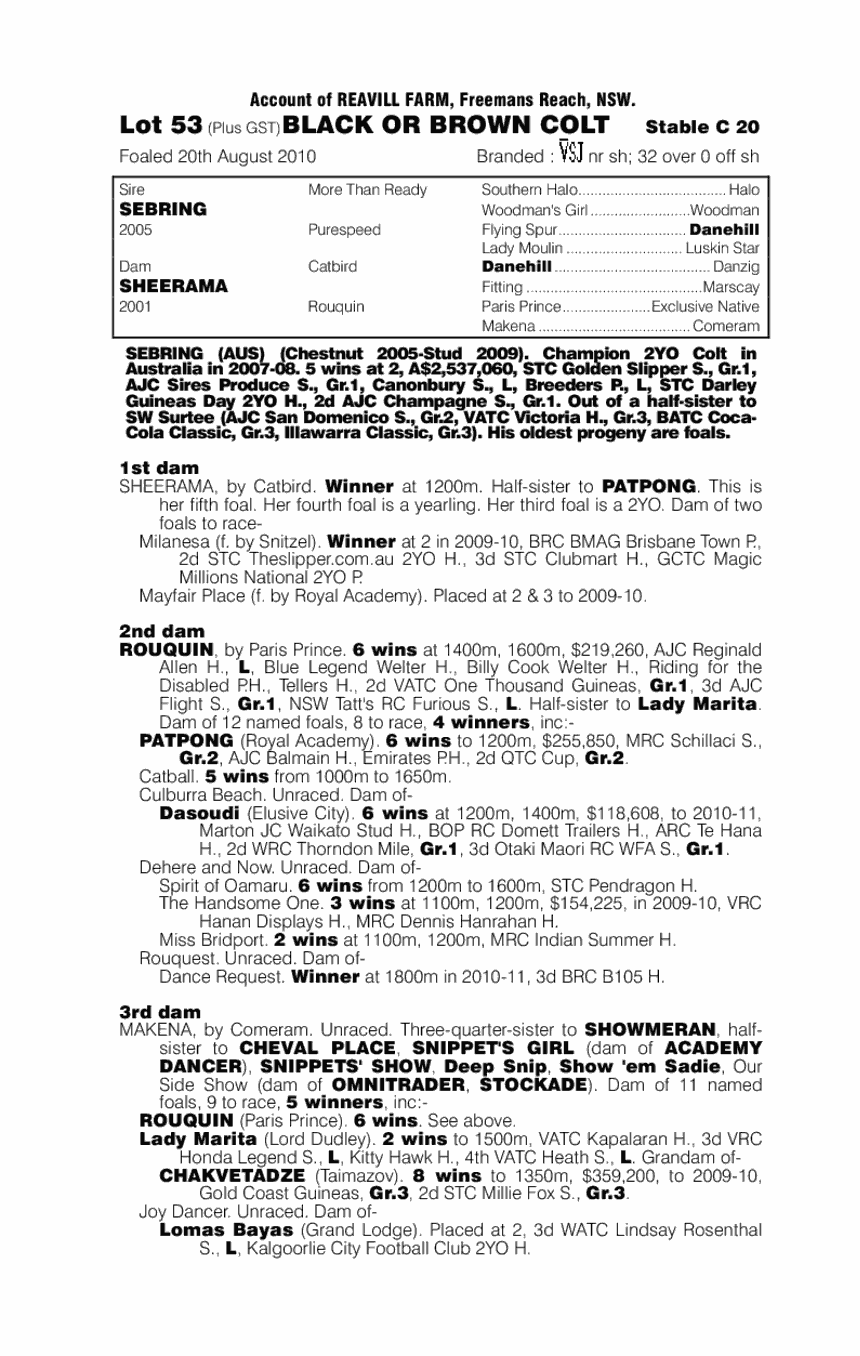 City Of Gold - pedigree