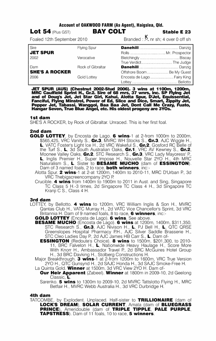 Ballingall Boy - pedigree