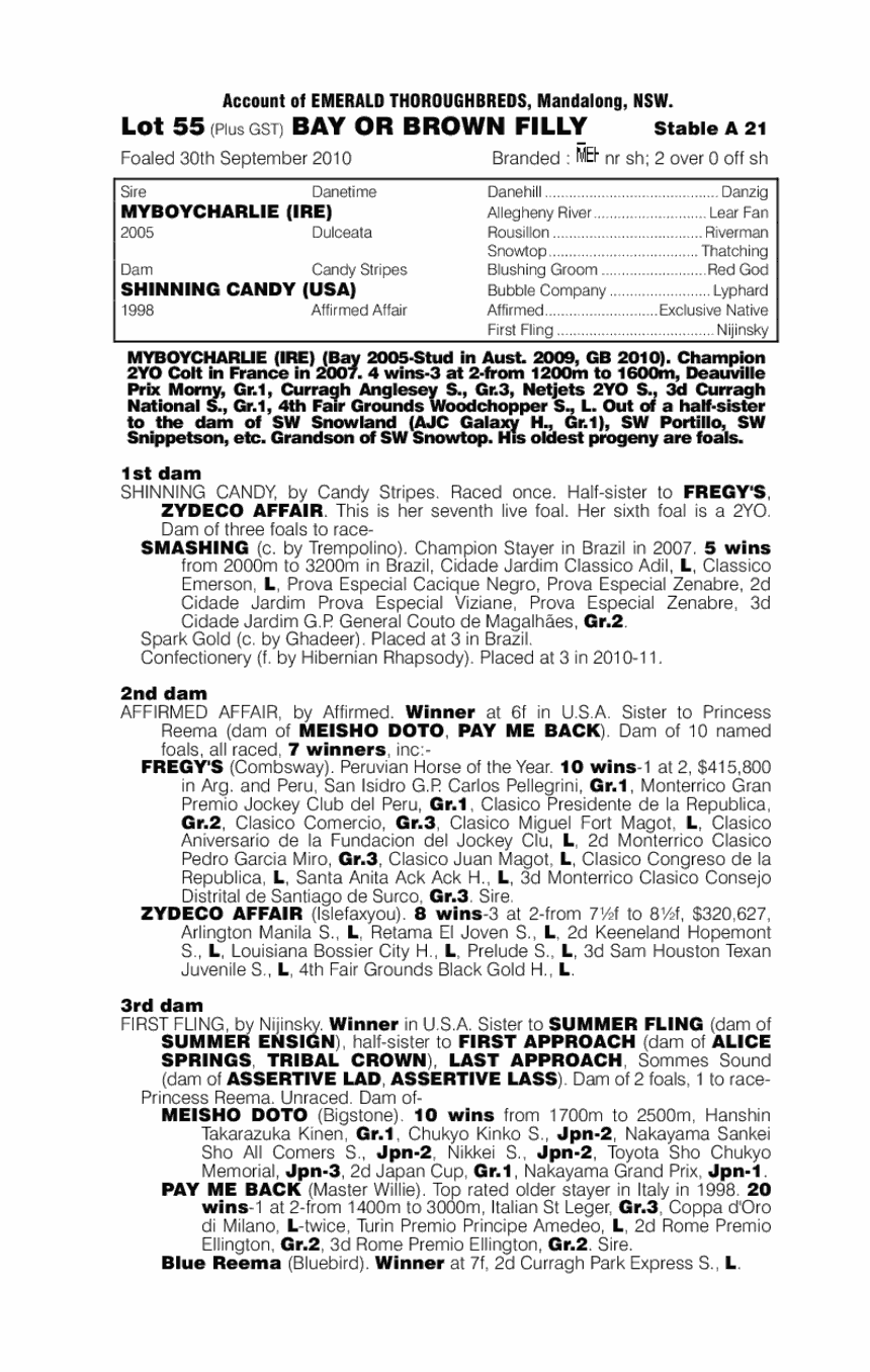 Myboycharlie (IRE) / Shinning Candy (USA) - pedigree