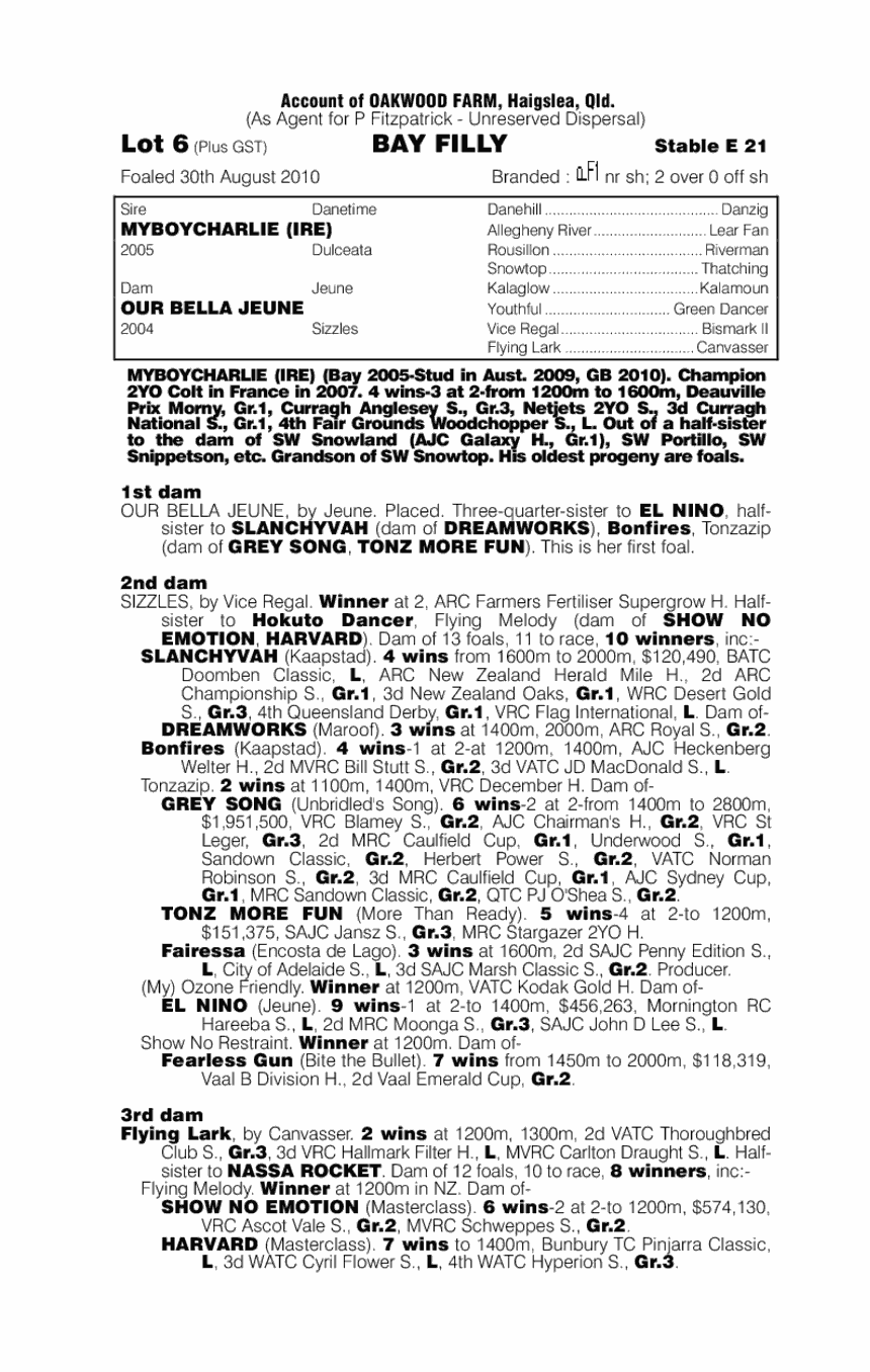 Bella Charlize - pedigree